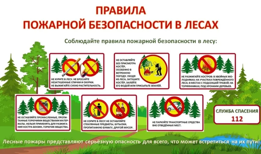 Правила пожарной безопасностти в лесу.